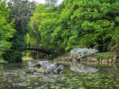 Ördeklerle dolu manzara parkı gölü, bir sükunet ortamı yaratıyor ve doğayla bağlantı kuruyor. Doğa, ekoloji, turizm ve şehir eğlence projeleri için mükemmel. Doğal renkler, yüksek detay ve uyumlu kompozisyon.