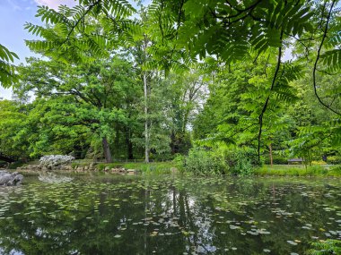 Ördeklerle dolu manzara parkı gölü, bir sükunet ortamı yaratıyor ve doğayla bağlantı kuruyor. Doğa, ekoloji, turizm ve şehir eğlence projeleri için mükemmel. Doğal renkler, yüksek detay ve uyumlu kompozisyon.