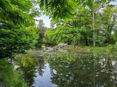Ördeklerle dolu manzara parkı gölü, bir sükunet ortamı yaratıyor ve doğayla bağlantı kuruyor. Doğa, ekoloji, turizm ve şehir eğlence projeleri için mükemmel. Doğal renkler, yüksek detay ve uyumlu kompozisyon.