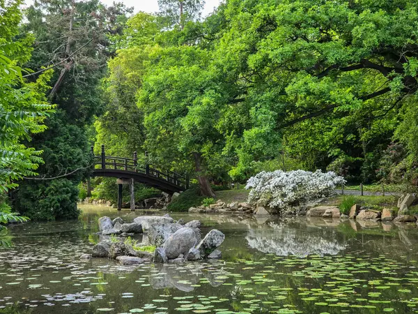 Ördeklerle dolu manzara parkı gölü, bir sükunet ortamı yaratıyor ve doğayla bağlantı kuruyor. Doğa, ekoloji, turizm ve şehir eğlence projeleri için mükemmel. Doğal renkler, yüksek detay ve uyumlu kompozisyon.