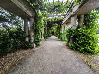 Yaşlanan beton tünel tamamen sarmaşık sarmaşıklarıyla kaplı. Kentsel bozulma temaları, insan yapımı yapıların geri kazanılması ve kıyamet sonrası kavramlar için mükemmel. Ticari ve sanatsal kullanım için yüksek kaliteli görüntü