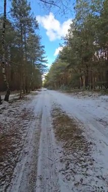 Kendinizi bir kış masalının atmosferine sokun. Kar kaplı bu büyüleyici video ağaçlarıyla, karda parlayan güneş ışığıyla, bir kış ormanının sessizliği ve sükunetiyle projeleriniz için mükemmel bir görüntü. Bu yüksek kaliteli 4K video...