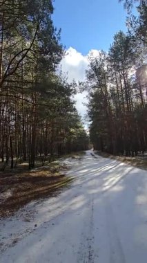 Kendinizi bir kış masalının atmosferine sokun. Kar kaplı bu büyüleyici video ağaçlarıyla, karda parlayan güneş ışığıyla, bir kış ormanının sessizliği ve sükunetiyle projeleriniz için mükemmel bir görüntü. Bu yüksek kaliteli 4K video...