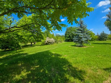Botanik bahçesinin bu çarpıcı fotoğrafıyla kendinizi doğal bir uyum dünyasına daldırın. Görüntü canlı yeşillikleri, renkli çiçekleri ve bakımlı bir parkın huzurlu atmosferini yakalar. Doğa ve ekolojiyle ilgili projeler için mükemmel.