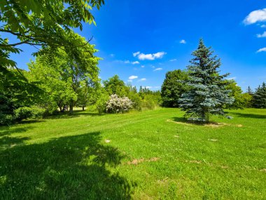 Botanik bahçesinin bu çarpıcı fotoğrafıyla kendinizi doğal bir uyum dünyasına daldırın. Görüntü canlı yeşillikleri, renkli çiçekleri ve bakımlı bir parkın huzurlu atmosferini yakalar. Doğa ve ekolojiyle ilgili projeler için mükemmel.