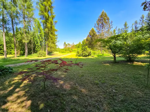 Bu çarpıcı stok fotoğrafı, çiçeklenmiş bir botanik bahçesinin nefes kesici güzelliğini yakalıyor. Resim renkli çiçek ve çeşitli bitki türlerinden oluşan canlı bir koleksiyon sergiliyor. Görsel olarak büyüleyici bir sahne yaratmak için ustalıkla düzenlenmiş. Kimden
