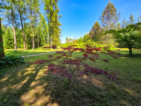 Bu çarpıcı stok fotoğrafı, çiçeklenmiş bir botanik bahçesinin nefes kesici güzelliğini yakalıyor. Resim renkli çiçek ve çeşitli bitki türlerinden oluşan canlı bir koleksiyon sergiliyor. Görsel olarak büyüleyici bir sahne yaratmak için ustalıkla düzenlenmiş. Kimden