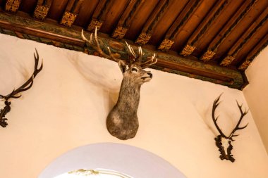 Bu yüksek çözünürlüklü fotoğraf, klasik mimari unsurlar ve klasik dekorlarla çok iyi korunmuş tarihi bir iç mekan sergiliyor. Süslü pervazlardan, oyulmuş ahşap panellerden antika mobilyalara ve zengin dokulara kadar.