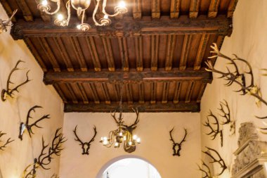 Bu yüksek çözünürlüklü fotoğraf, klasik mimari unsurlar ve klasik dekorlarla çok iyi korunmuş tarihi bir iç mekan sergiliyor. Süslü pervazlardan, oyulmuş ahşap panellerden antika mobilyalara ve zengin dokulara kadar.