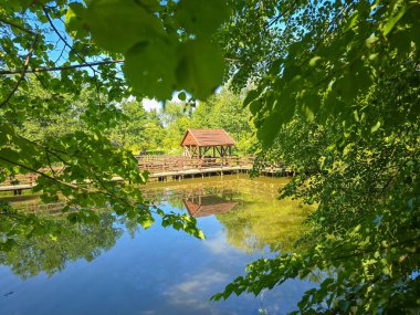 Bu yüksek çözünürlüklü fotoğraf sakin bir gölün barışçıl zeminine karşı büyüleyici bir çardak sergiliyor. Doğal güzelliklerle çevrelenmiş sahne, huzur ve denge hissi veriyor. Rahatlama hissi uyandırmak için ideal, sessiz çekilmeler.