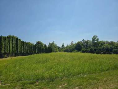 Bu yüksek çözünürlüklü fotoğraf, ekilmiş güzellik ve el değmemiş doğanın ilham verici bir karışımını sergileyen, pitoresk bir botanik bahçe manzarasını yakalıyor. Dönek bir patika, canlı çiçeklerin, manikürlü çalıların ve olgun ağaçların arasında dolanıyor.