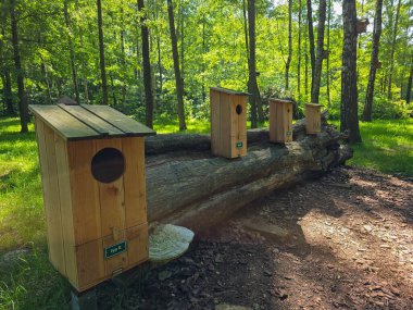 Bu yüksek çözünürlüklü fotoğrafta, çeşitli şekillerde, boyutlarda ve tarzlarda yuvalanan kuş evlerinden oluşan büyüleyici bir koleksiyon sergilenmektedir. Görüntü, bu odunların işçiliğini ve çeşitliliğini vurguluyor.