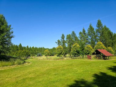 Bu yüksek çözünürlüklü fotoğraf, ekilmiş güzellik ve el değmemiş doğanın ilham verici bir karışımını sergileyen, pitoresk bir botanik bahçe manzarasını yakalıyor. Dönek bir patika, canlı çiçeklerin, manikürlü çalıların ve olgun ağaçların arasında dolanıyor.