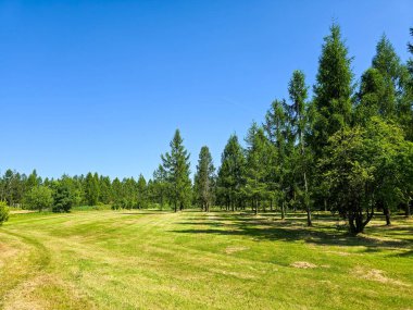 Bu yüksek çözünürlüklü fotoğraf, ekilmiş güzellik ve el değmemiş doğanın ilham verici bir karışımını sergileyen, pitoresk bir botanik bahçe manzarasını yakalıyor. Dönek bir patika, canlı çiçeklerin, manikürlü çalıların ve olgun ağaçların arasında dolanıyor.