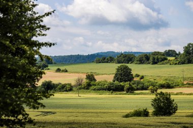 Bu büyüleyici doğa manzarası bir huzur, durgunluk ve açık alan hissi veriyor. Çerçevede, açık ve geniş mavi gökyüzünün altındaki yoğun yeşil bir ormana dönüşen sonsuz alanlar yer alıyor. Doğal elementler arasındaki mükemmel denge...