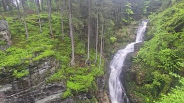 Yeşilliklerle çevrili kayaların üzerinden çağlayan şelalenin çarpıcı manzarası. Doğa, seyahat, enerji, sükunet, macera ve manzara temaları için ideal