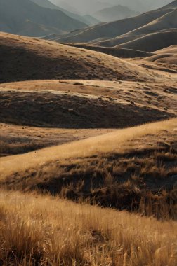 Bu nefes kesici çöl manzarası, sihirli saatin altın parıltısı altında el değmemiş kum tepelerinin ham güzelliğini yakalar. Büyüleyici kum dalgaları hipnotize edici bir ışık ve gölge deseni yaratıyor. Uçsuz bucaksız ufuk boyunca uzanıyor.