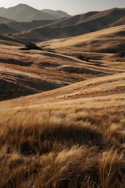 Bu nefes kesici çöl manzarası, sihirli saatin altın parıltısı altında el değmemiş kum tepelerinin ham güzelliğini yakalar. Büyüleyici kum dalgaları hipnotize edici bir ışık ve gölge deseni yaratıyor. Uçsuz bucaksız ufuk boyunca uzanıyor.