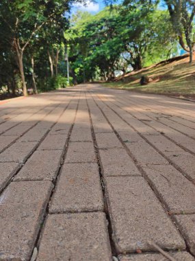 Düşük perspektiften çekilen, yumuşak gölgeler bırakan ağaçlarla kaplı kırsal kaldırım manzarası. Güneş yaprakların arasından süzülüyor, sükuneti ve doğanın güzelliğini çağrıştıran ışık ve gölge desenleri oluşturuyor..