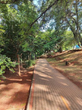Ağaçlarla ve canlı yeşilliklerle dolu huzurlu bir yol. Huzurlu ve davetkar bir atmosfer yaratıyor. Çakıl taşı, güneş ışığının yaprakların arasından süzülüp doğal güzelliği ve huzuru ön plana çıkardığı sakin bir park ortamında esiyor.