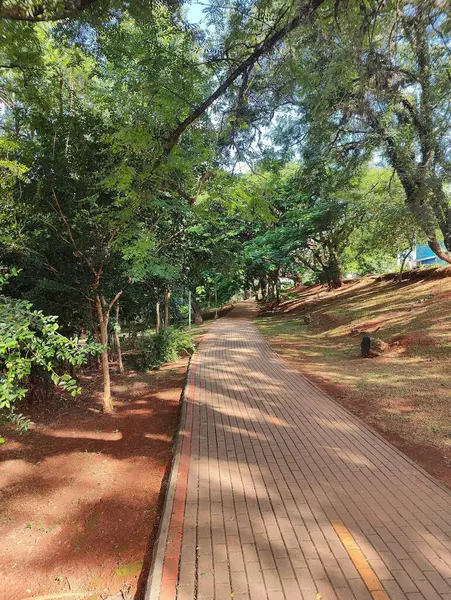 Ağaçlarla ve canlı yeşilliklerle dolu huzurlu bir yol. Huzurlu ve davetkar bir atmosfer yaratıyor. Çakıl taşı, güneş ışığının yaprakların arasından süzülüp doğal güzelliği ve huzuru ön plana çıkardığı sakin bir park ortamında esiyor.