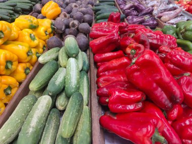 Parlak sarı dolma biberler, koyu mor pancarlar, taze yeşil salatalıklar ve parlak kırmızı dolmalık biberlerden oluşan canlı bir vitrin. Düzenleme, doğanın cömertliğini gösteriyor. Tazelik hissi uyandırıyor.