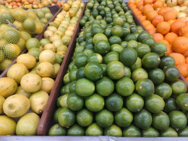 Sarı limonlar, yeşil limonlar ve turuncu portakalların düzenli sırada dizildiği bir pazarda canlı bir turunçgil seçimi, tazelik ve canlılık hissi uyandıran çekici ve taze bir görüntü yaratıyor. Düzenleme çeşitliliği vurgular