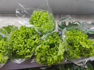 Taze, taze marul demetleri, taze sebzelerin kalitesini ve tazeliğini vurgulayan canlı yeşil bir renk sergiliyorlar. Salatalar ve sağlıklı yemekler için mükemmel..