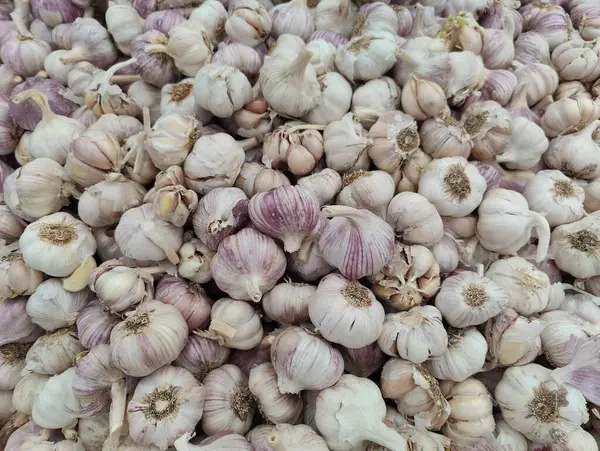 Mor, beyaz ve kremalı nüanslarını vurgulayan bir yığın taze sarımsak kafalar. Görüntü, sağlıklı gıda ve doğal mutfak bağlamında ideal bir pas ve tazelik hissi veriyor..