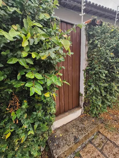 Kahverengi ahşap bir kapı yemyeşil bitki örtüsünün ortasında dikiliyor. Girişi çevreleyen parlak, iyi korunmuş yapraklar gizemli ama davetkar bir atmosfer yaratıyor. Güvenlik ve mahremiyet hissi uyandırmak için mükemmel. Sahne taştan bir zemin tarafından vurgulandı.