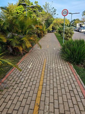 Taştan fayanslarla döşenmiş ve canlı tropikal bitkilerle çevrili verimli bir parkta huzurlu bir bisiklet yolu. Trafik işaretleri ve bisiklet işaretleri bisikletçiler ve yayalar için bir alan gösteriyor, doğa ve şehir yaşamı arasındaki uyumu çağrıştırıyor..