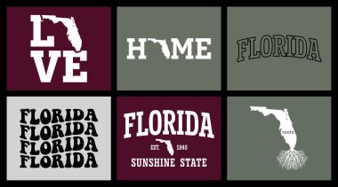 Florida State tişört tasarımı