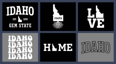 Idaho State t-shirt tasarımı