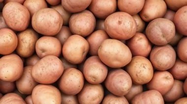 Taze patates organik üst görünüm