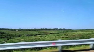 Hareket halindeki bir arabadan çekilen doğal manzara, yeşillik ve hareketli barışçıl bir açık hava atmosferinin HD video görüntüleri..