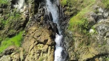 Çiçeklerin arkasından görülen doğal bir dağ şelalesinin HD video görüntüleri taze su akışını, yemyeşil suları ve huzurlu manzarayı vurguluyor..