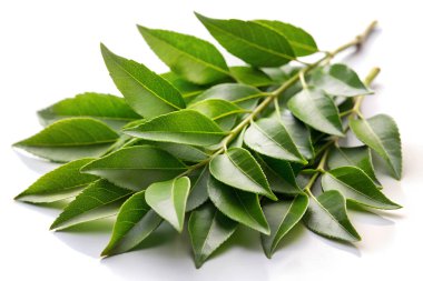 Beyaz arka planda yeşil çay yaprakları. Kırpma yolu dahil.