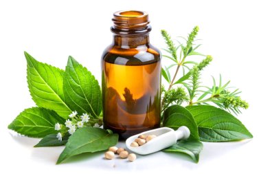 Doğal Aromaterapi Esasları: Minimalist Beyaz Arkaplan Üzerine Saf Temel Yağ ile Taze Nane ve Tohumlar.