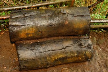 İki büyük, karanlık, su lekeli kütük, kırsal metal bir çitin yanında yatay olarak istiflenmiştir. Kütükler yıpranmış görünüyor, görünür çatlaklar ve yosun parçalarıyla.