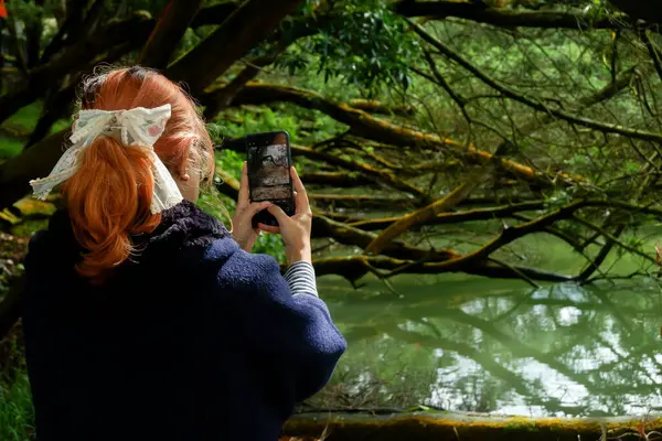 Seyahat ederken akıllı telefonuyla ormanın fotoğrafını çeken bir kadın. Doğa fotoğrafçılığı, seyahat yaşam tarzı ve açık hava keşfi kavramı.