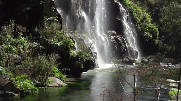 Una Cascada Natural Cascada Con Agua Fresca Clara Manantial Montaña — Vídeos de Stock