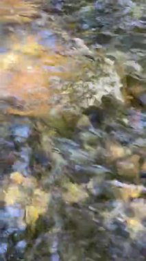 Huzurlu bir dağ deresi, kristal berrak suyu güneş ışığını yansıtan pürüzsüz, renkli taşların üzerinden akar. Dalgalar yüzeyde dans eder, parıldayan desenler yaratır. Doğal güzelliğin huzurlu bir sahnesi.