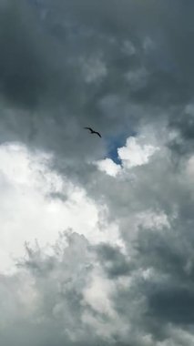 Yalnız bir martı dramatik bulutlu bir gökyüzüne doğru süzülür, bir cep telefonu videosunda görüntülenir, doğanın ve özgürlüğün güzelliğini minimalist ama güçlü bir sahnede vurgular.