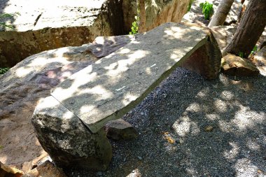 Parktaki eski ahşap bank.