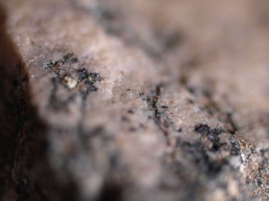 Doğal granit taşın yakın çekim dokusu, granüler detayları ışık ve koyu mineral parçacıkları karışımıyla gösteriyor.. 