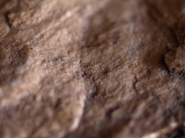 Doğal granit taşın yakın çekim dokusu, granüler detayları ışık ve koyu mineral parçacıkları karışımıyla gösteriyor.. 