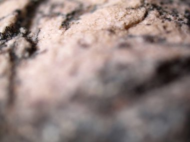 Doğal granit taşın yakın çekim dokusu, granüler detayları ışık ve koyu mineral parçacıkları karışımıyla gösteriyor.. 