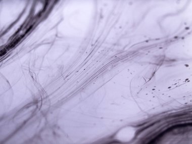 Sıvı siyah mürekkebin soyut yakın çekimi yoğun bir sıvıda kıvrılarak yumuşak, organik çizgiler ve açık mor arkaplanda mermer benzeri dokular oluşturur.. 