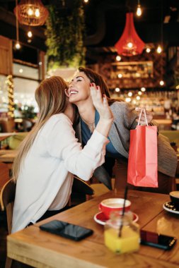 Alışveriş yaptıktan sonra kafeteryada ya da restoranda oturup mutlu mesut sohbet eden iki arkadaş..