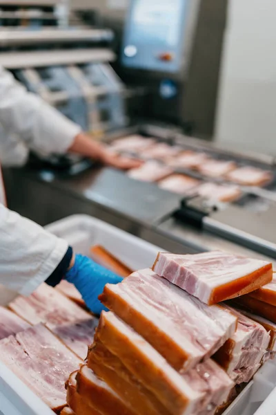 Production line for packing and vacuuming delicious pork meat bacon into small packages. Meat food industry work. Selective focus on foreground.